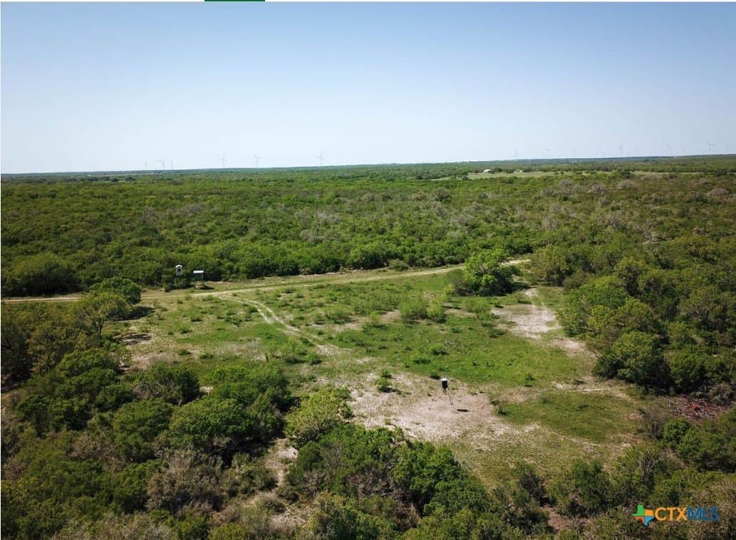 50 acres in Bee County gallery image 4