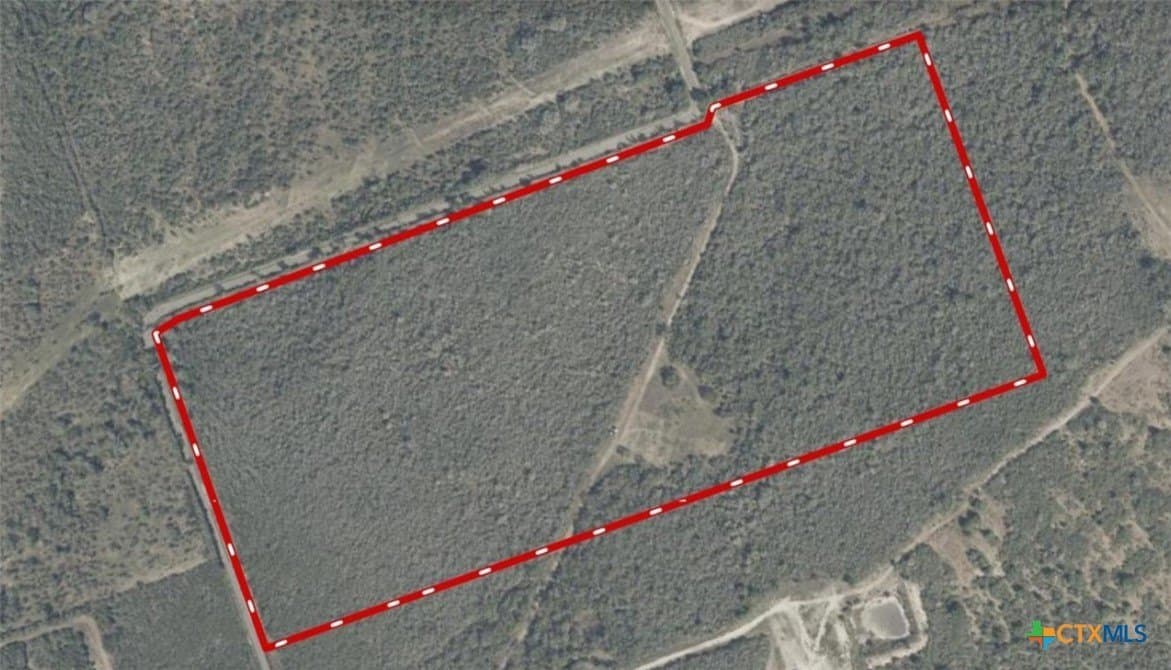 50 acres in Bee County gallery image 2