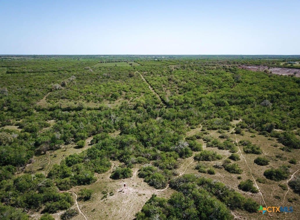 50 acres in Bee County gallery image 3