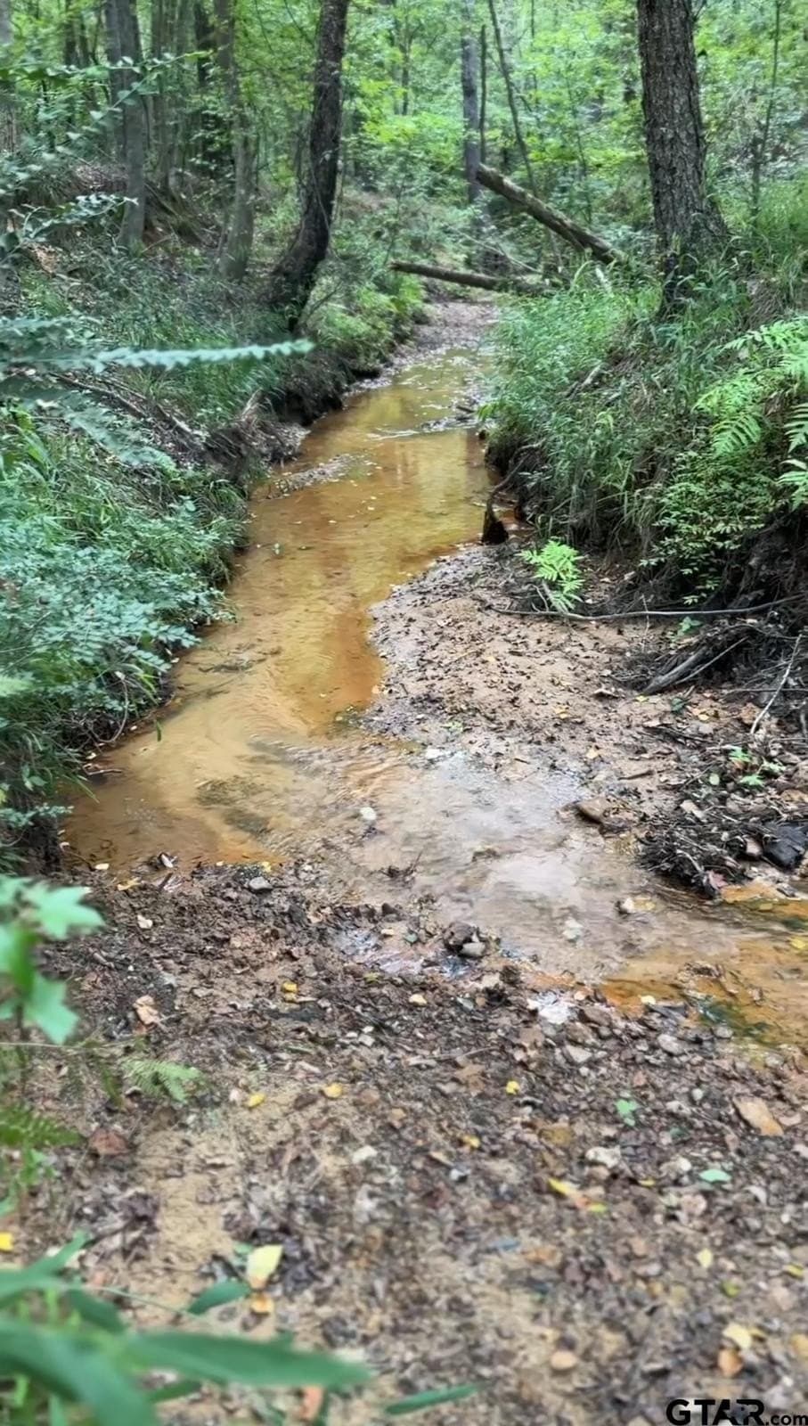 37.39 acres in Cherokee County gallery image 3