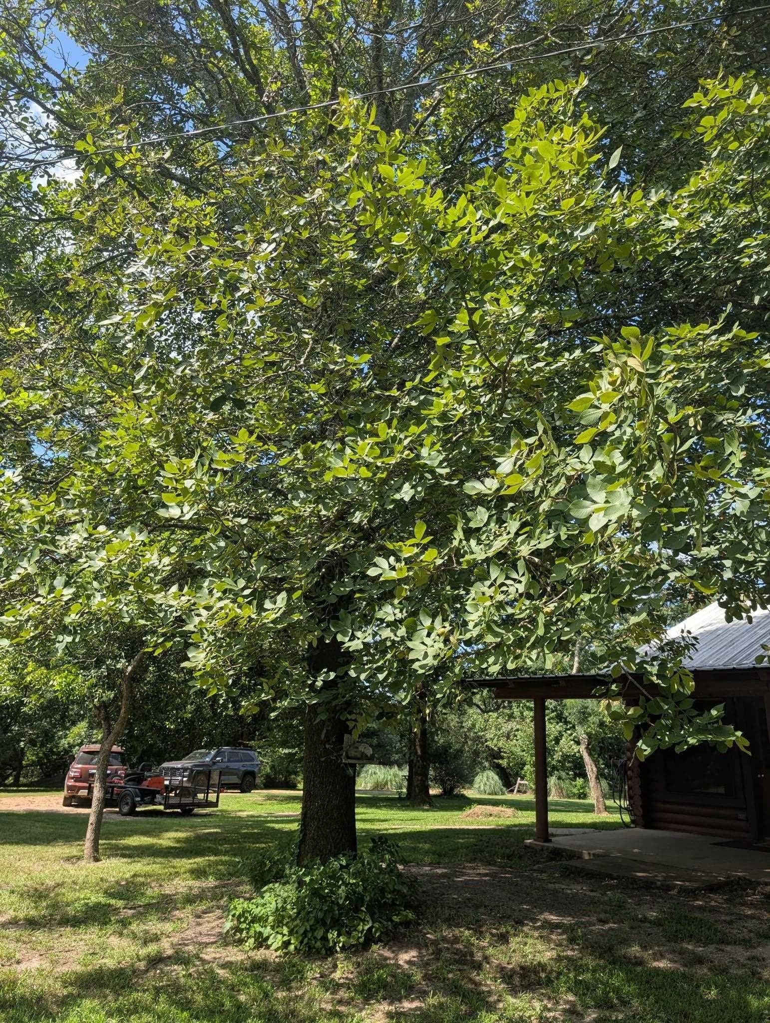 28.14 acres in Marion County - photo 31