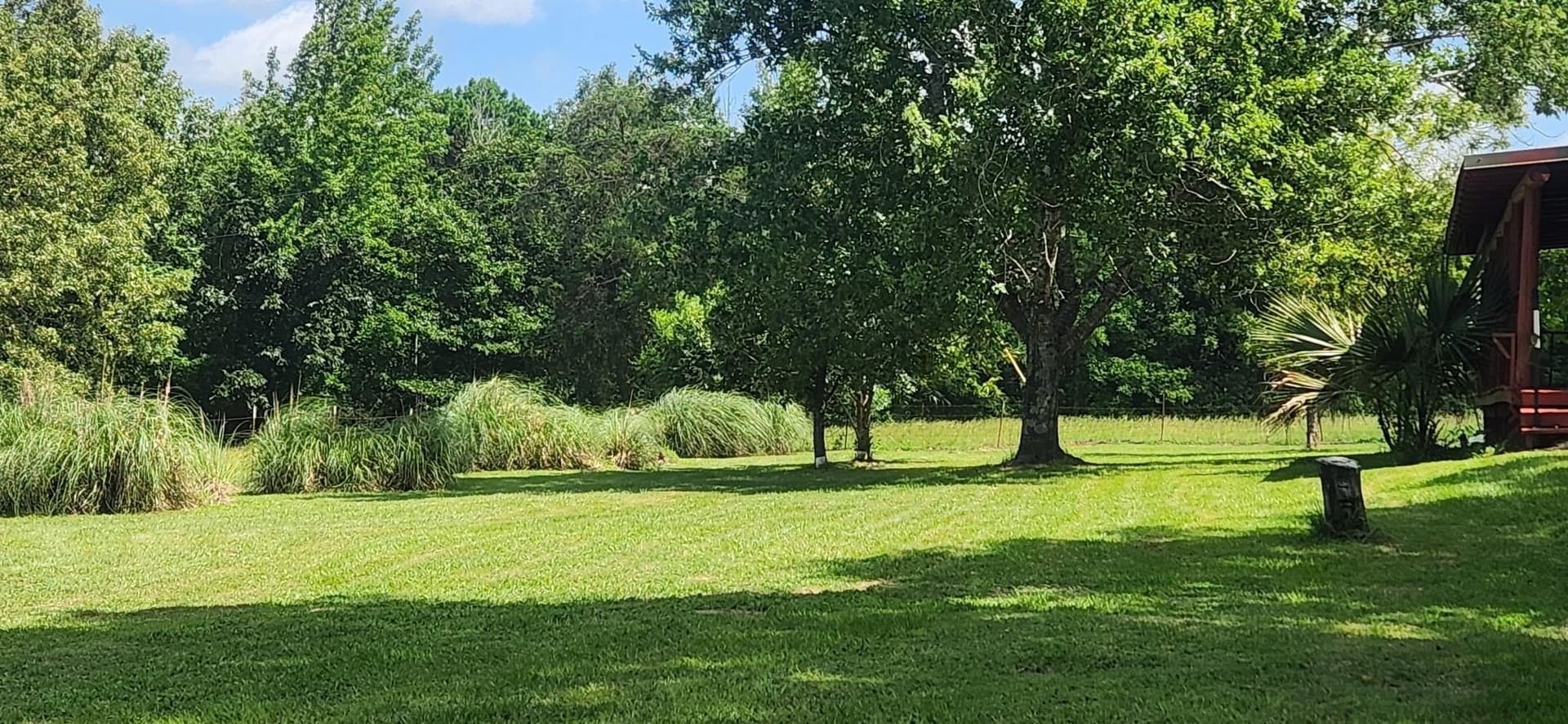 28.14 acres in Marion County - photo 5