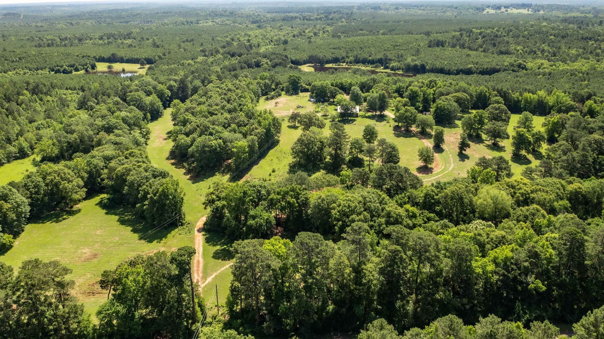 28.14 acres in Marion County - photo 40