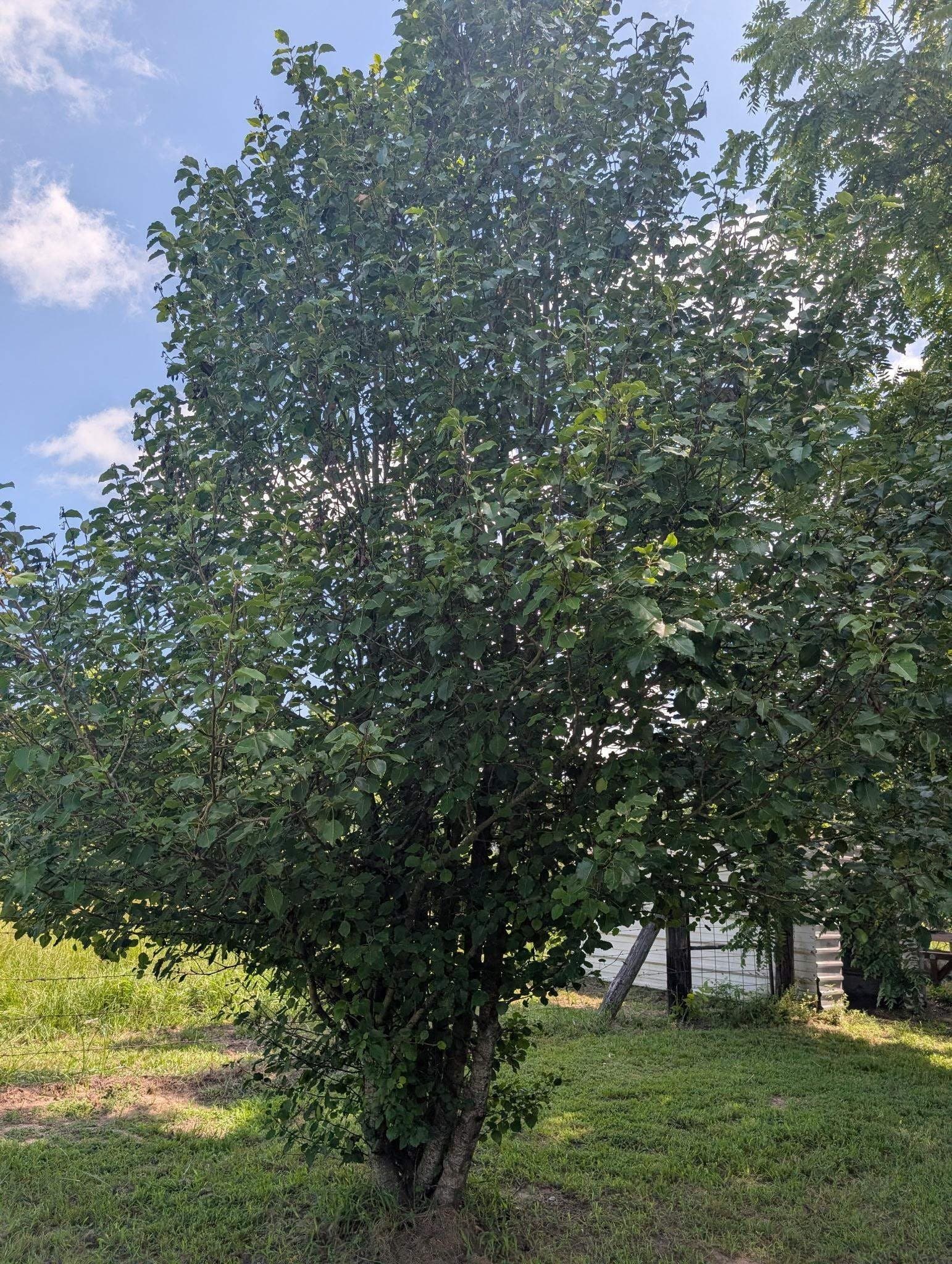 28.14 acres in Marion County - photo 28