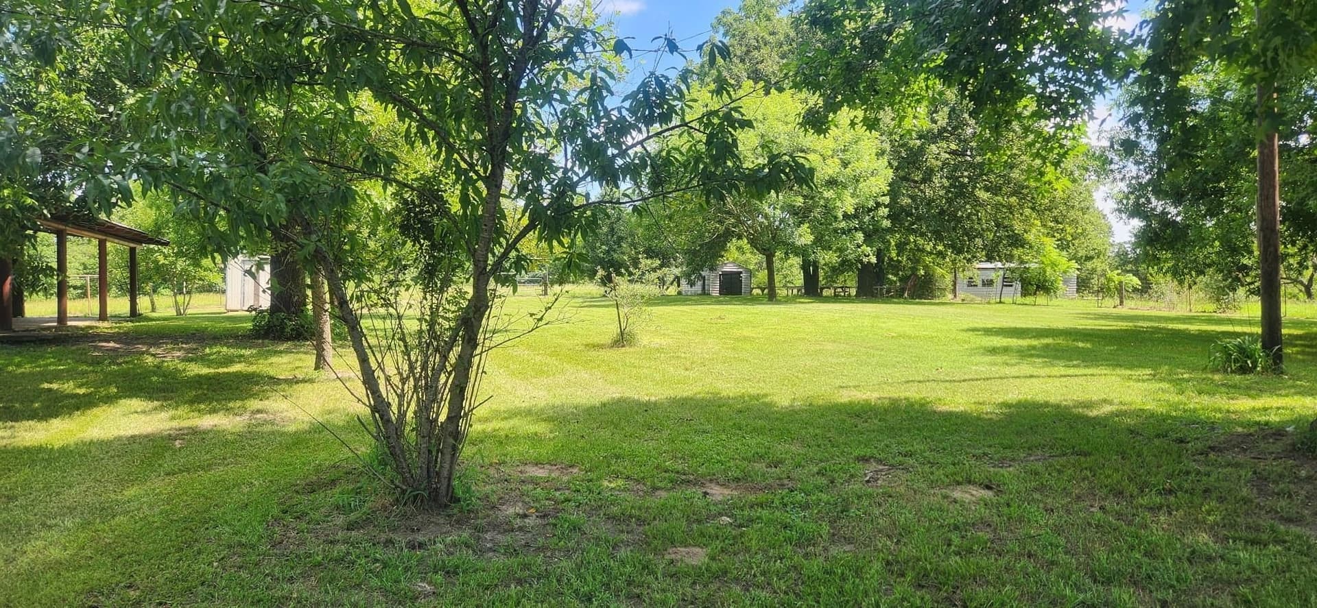 28.14 acres in Marion County - photo 6