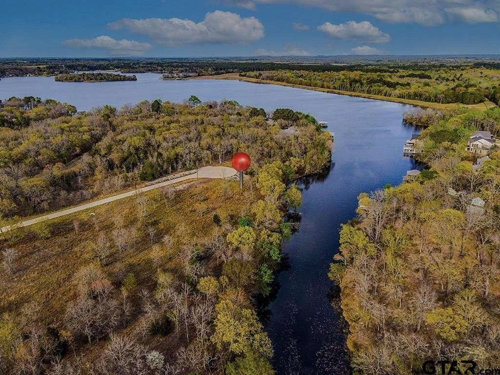 0.81 acres in Henderson County - photo 5
