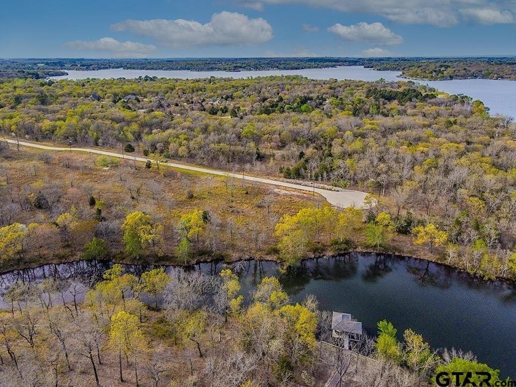 0.81 acres in Henderson County - photo 6