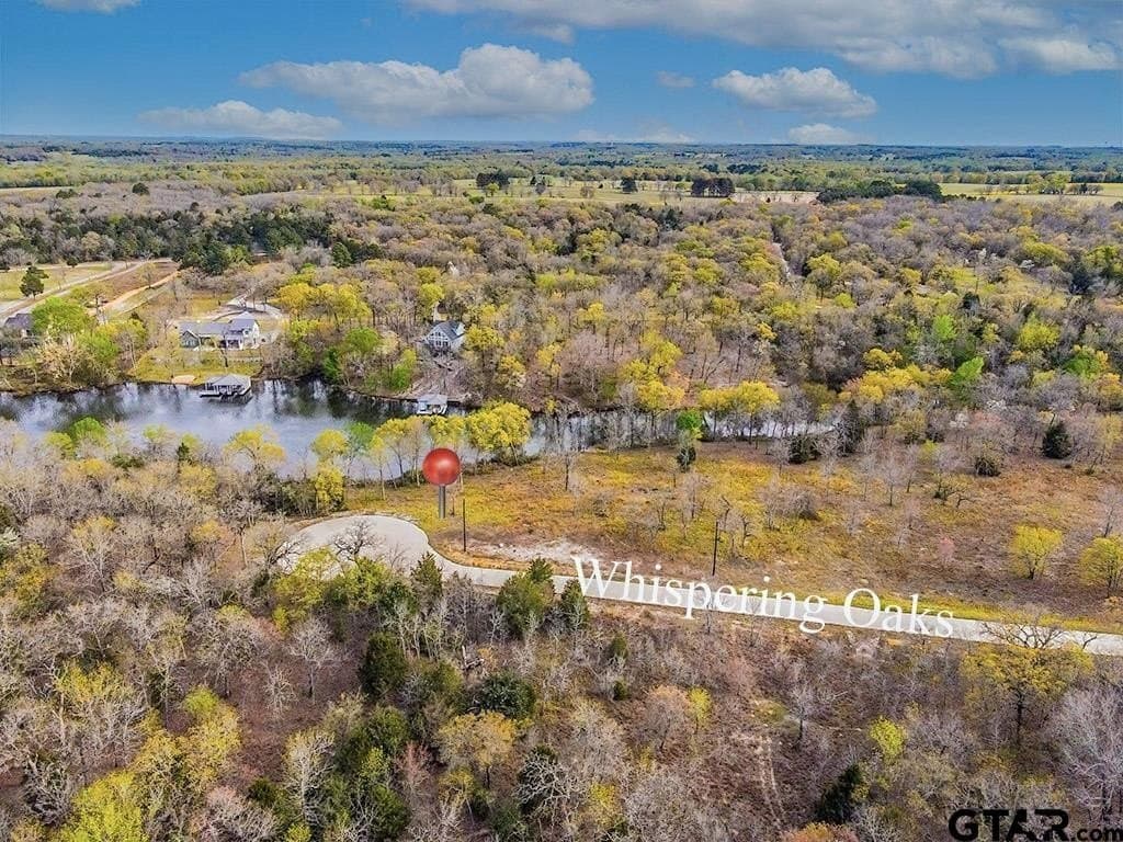 0.81 acres in Henderson County - photo 16