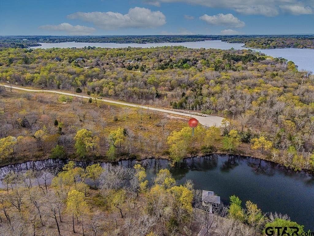 0.81 acres in Henderson County - photo 7