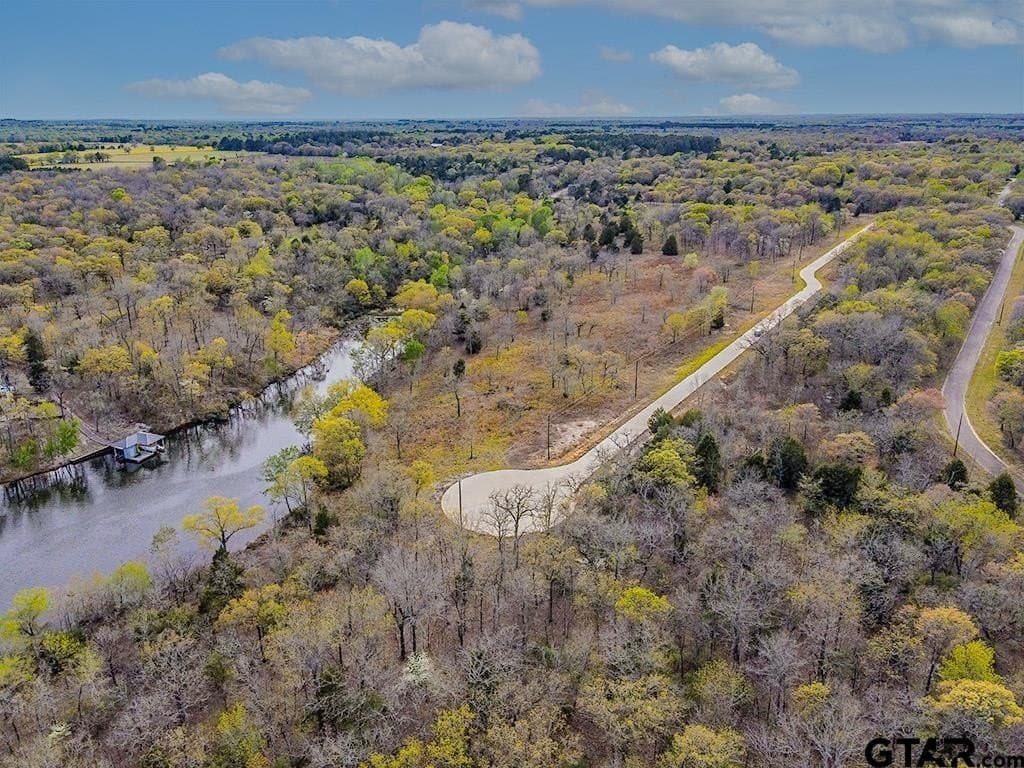 0.81 acres in Henderson County - photo 9