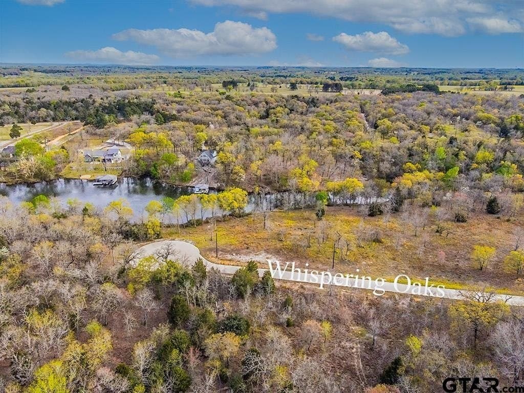 0.81 acres in Henderson County - photo 11