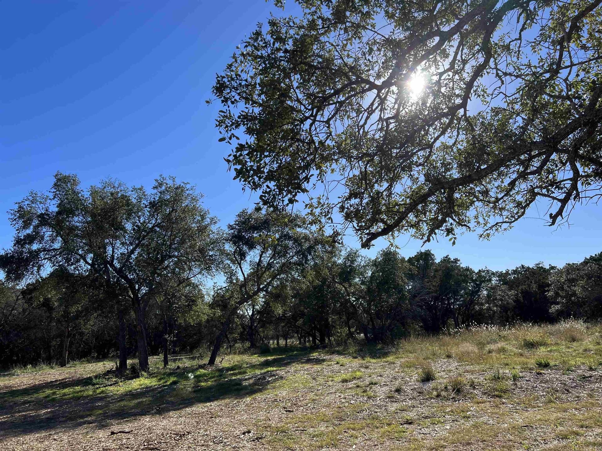 5 acres in Llano County gallery image 4