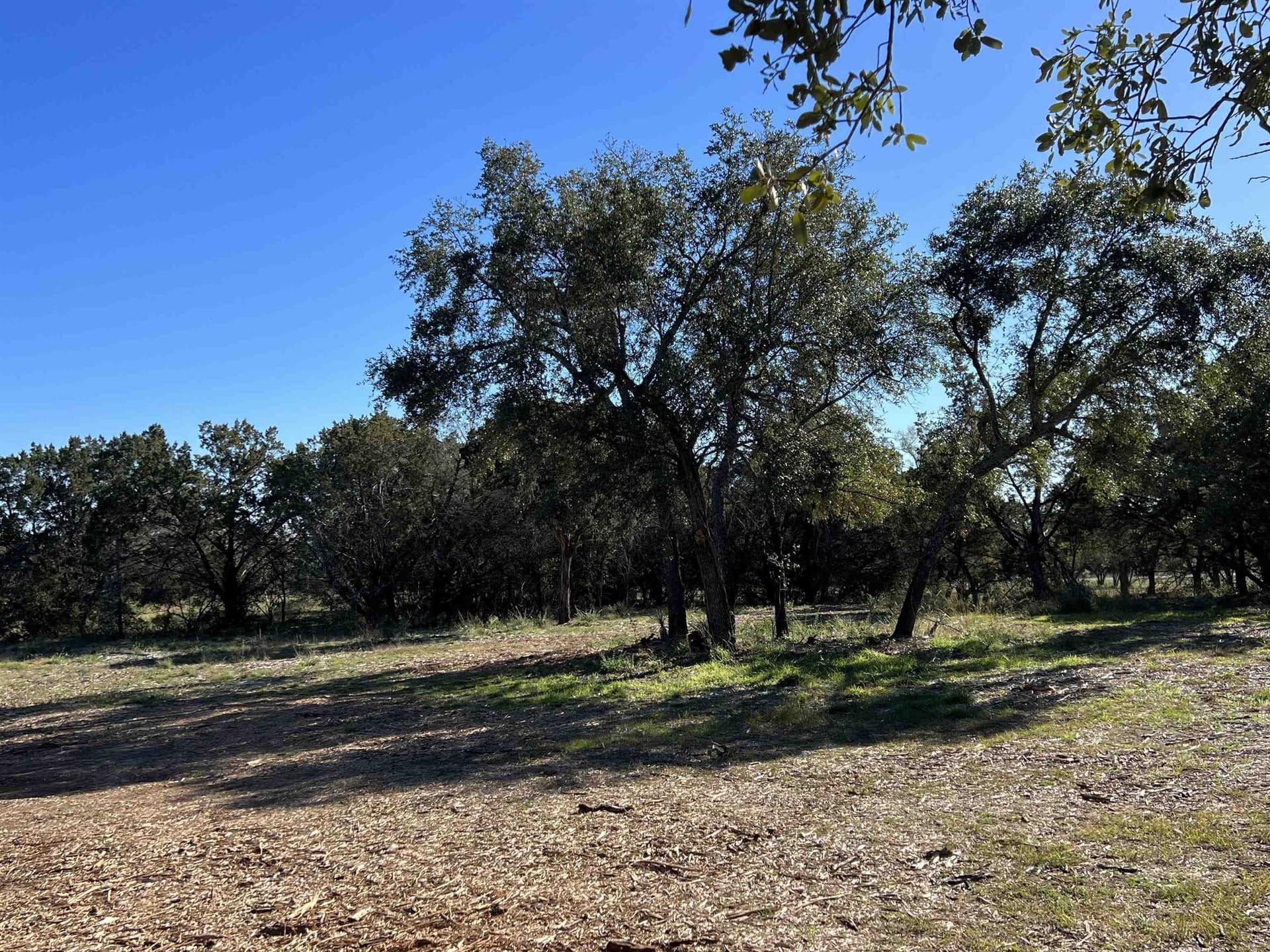5 acres in Llano County featured view