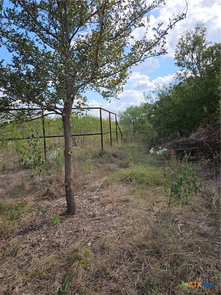 237 acres in Milam County - photo 18