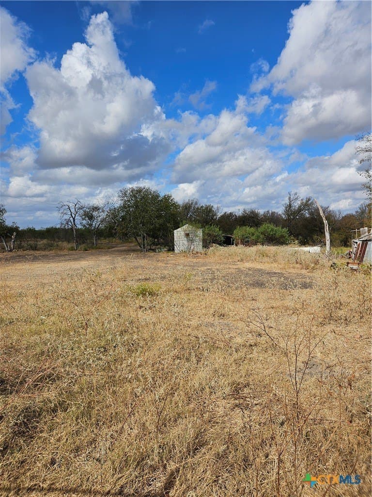 237 acres in Milam County - photo 9