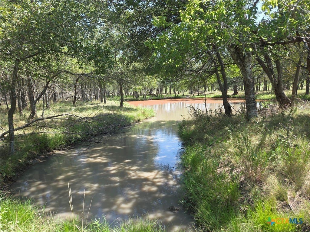 237 acres in Milam County - photo 2