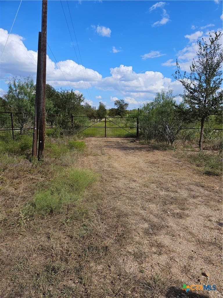 237 acres in Milam County - photo 17