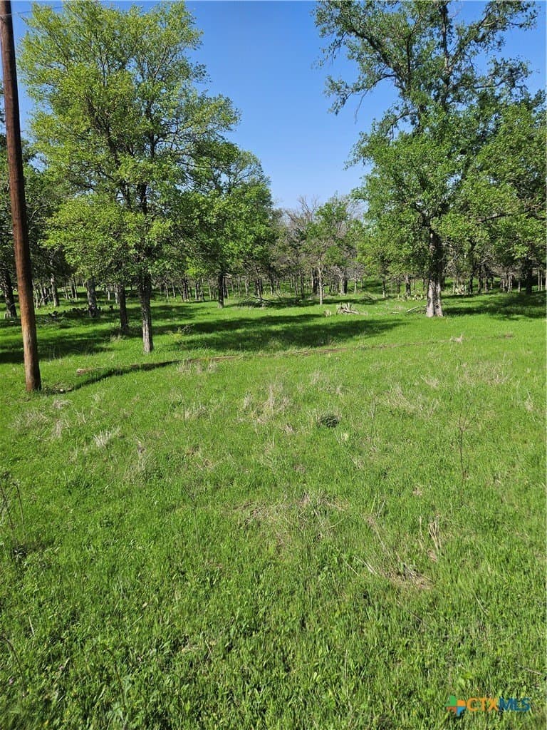237 acres in Milam County - photo 6