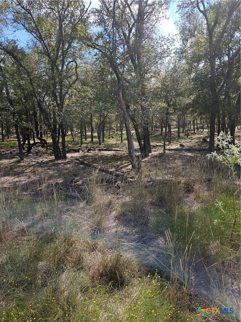 237 acres in Milam County - photo 7
