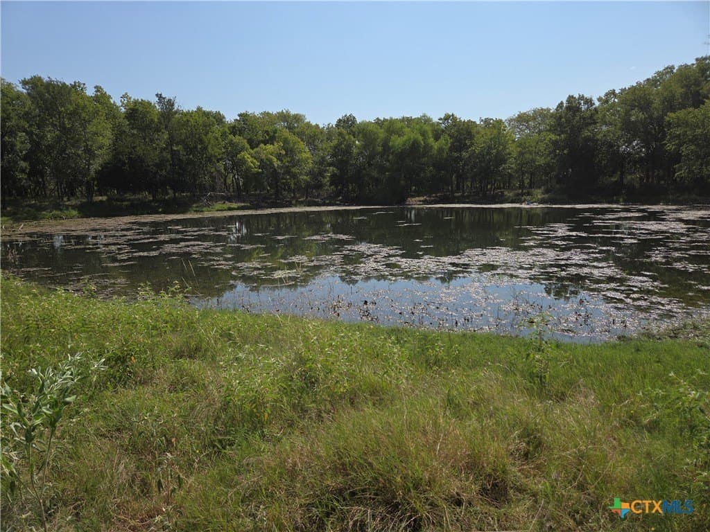 237 acres in Milam County