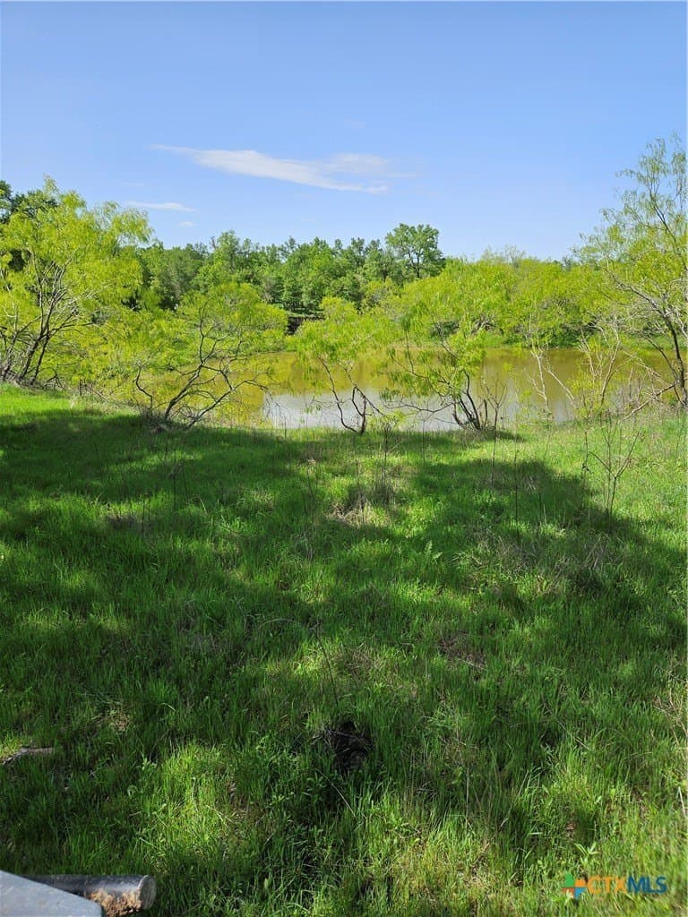 237 acres in Milam County - photo 3