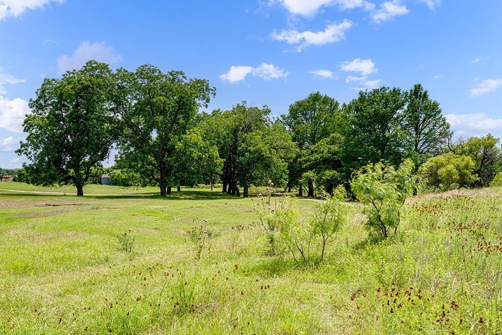 23.88 acres in Gillespie County - photo 42