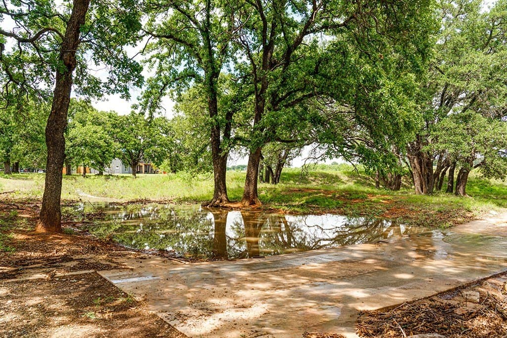 23.88 acres in Gillespie County - photo 45