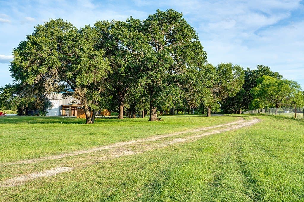 23.88 acres in Gillespie County - photo 55