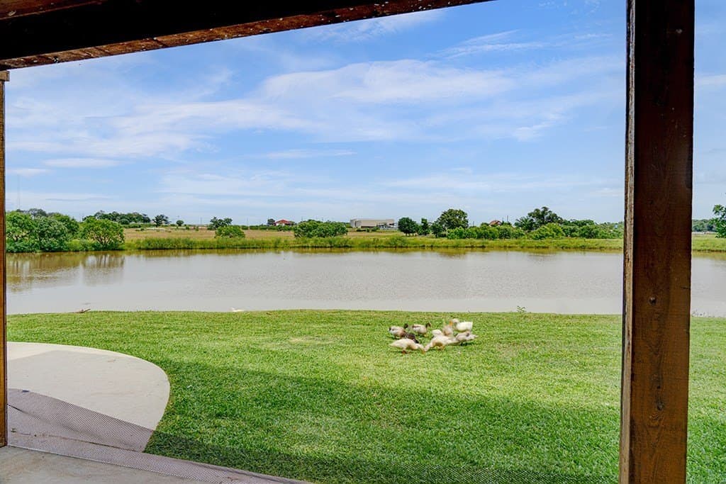 23.88 acres in Gillespie County - photo 49