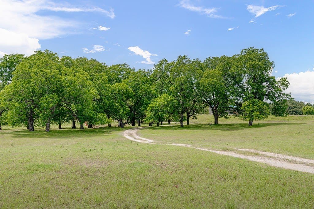 23.88 acres in Gillespie County - photo 44