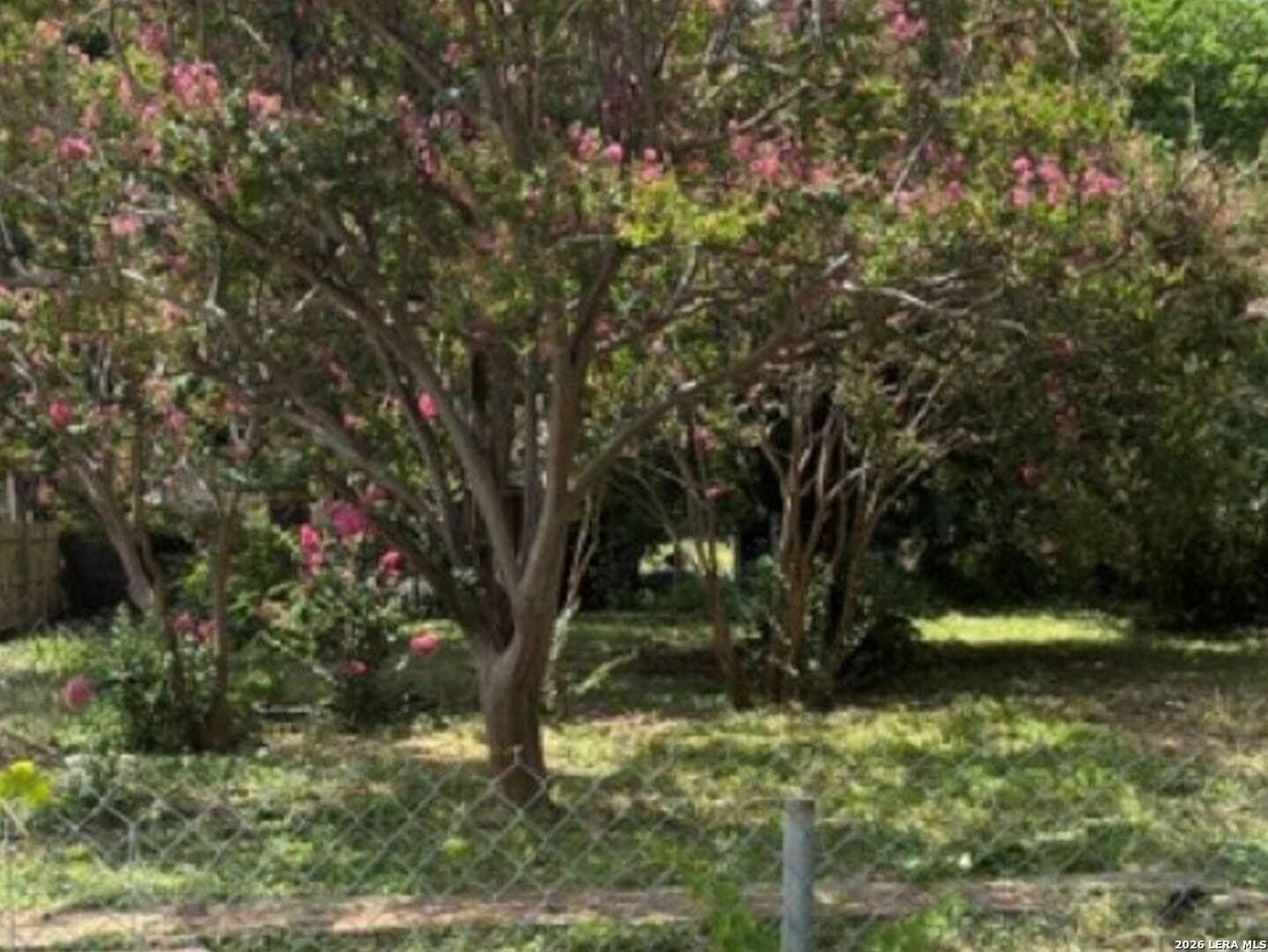 0.08 acres in Bexar County - photo 2
