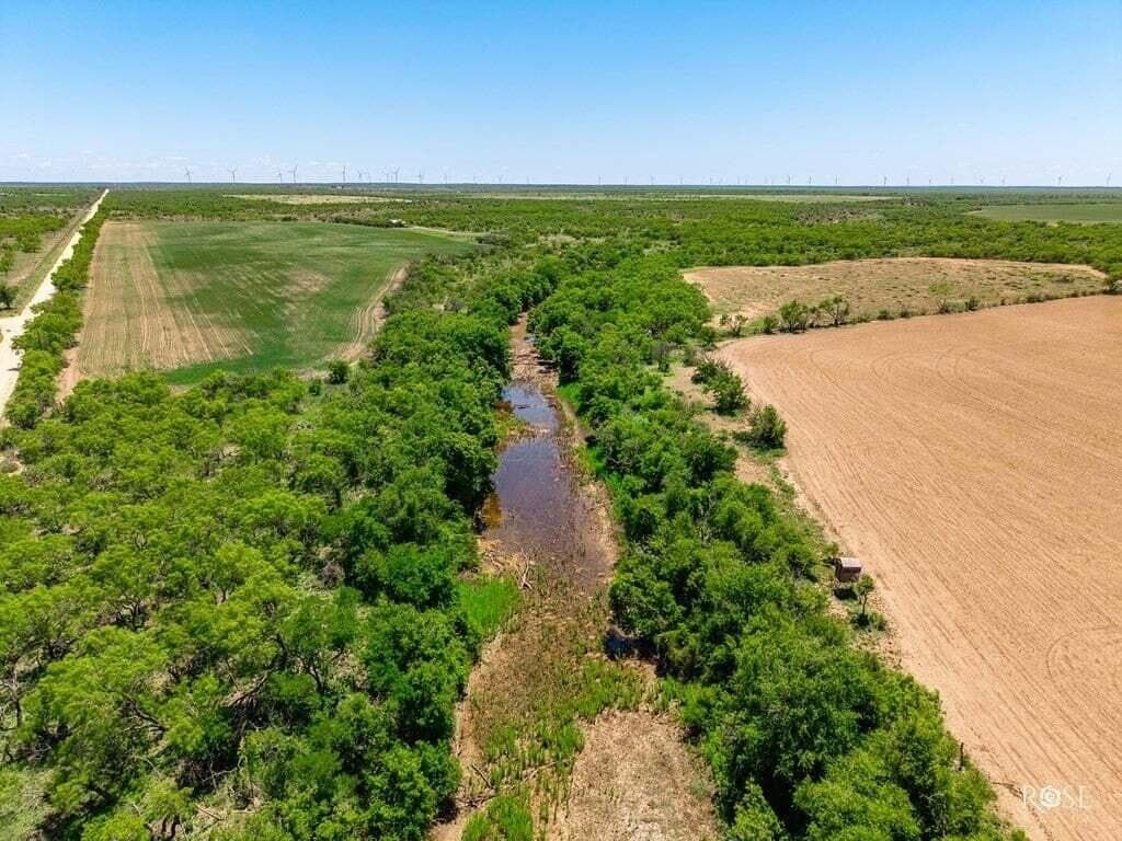 160 acres in Concho County - photo 8