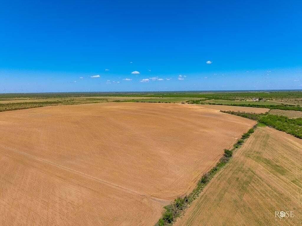 160 acres in Concho County - photo 5