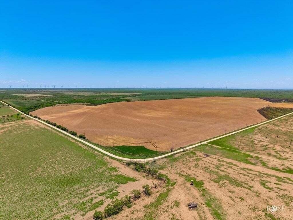 160 acres in Concho County - photo 7