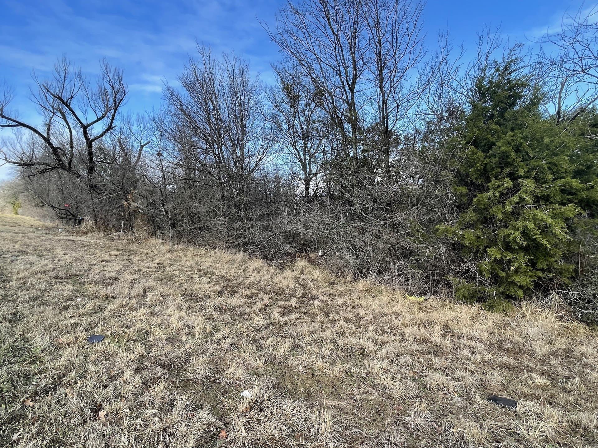 10 acres in Palo Pinto County gallery image 2