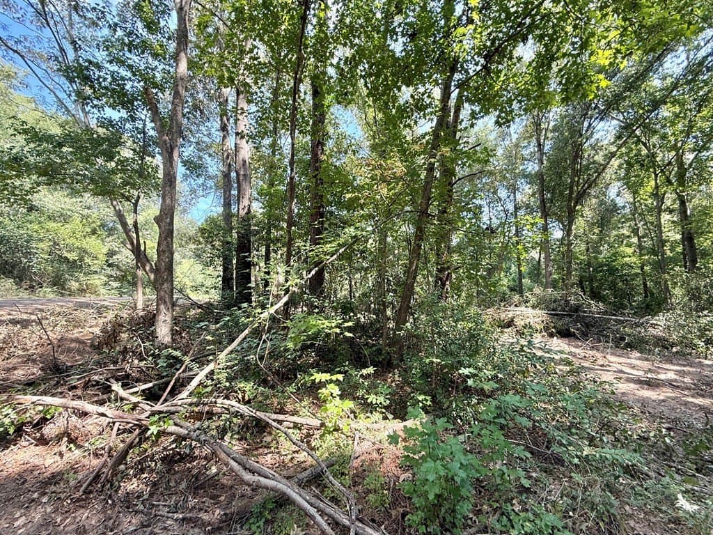 0.34 acres in Texas County featured view