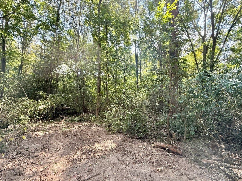 0.34 acres in Texas County - photo 7