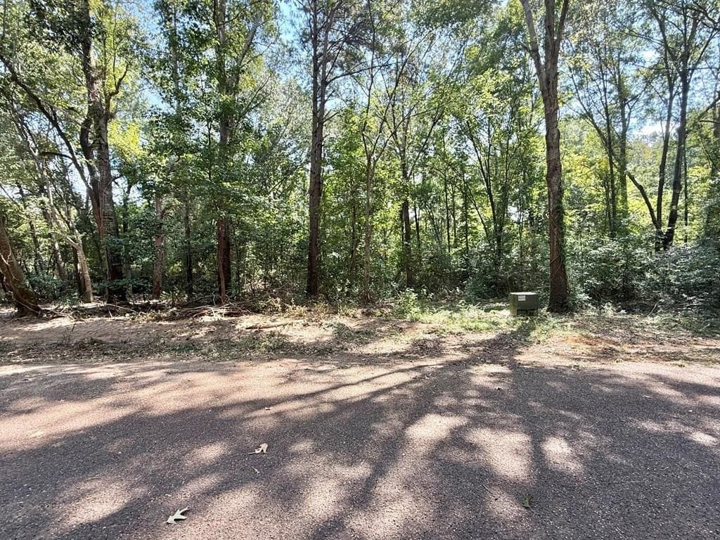 0.34 acres in Texas County gallery image 2