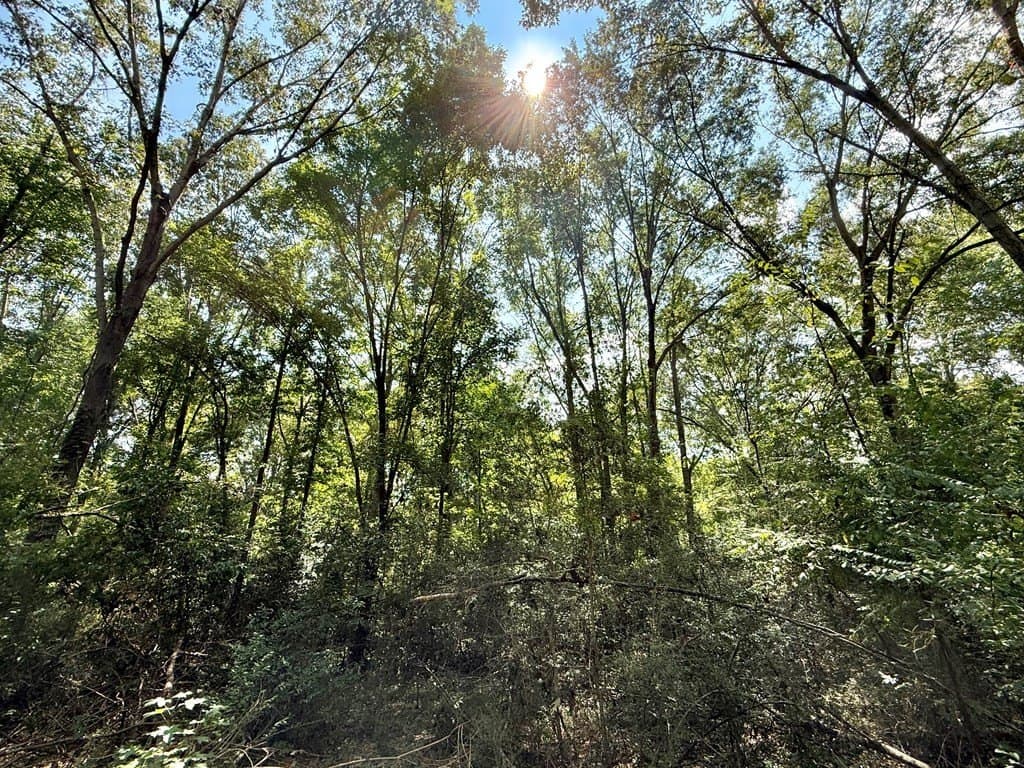 0.34 acres in Texas County - photo 8