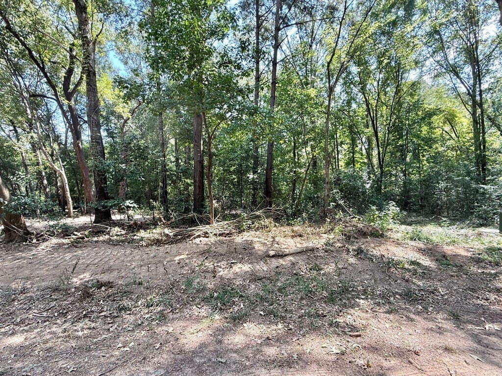 0.34 acres in Texas County gallery image 3