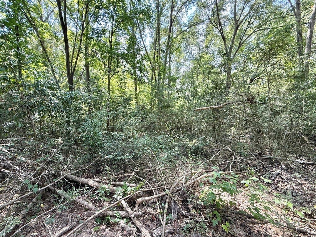 0.34 acres in Texas County - photo 6
