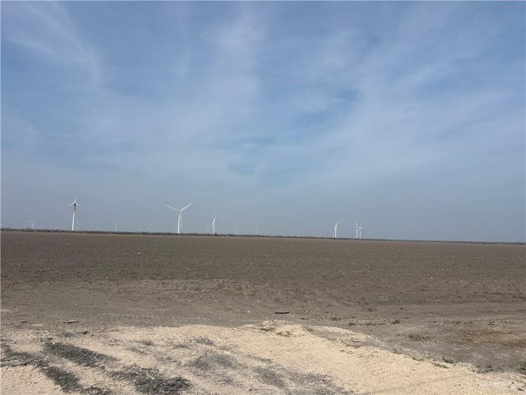 275 acres in Cameron County - photo 7