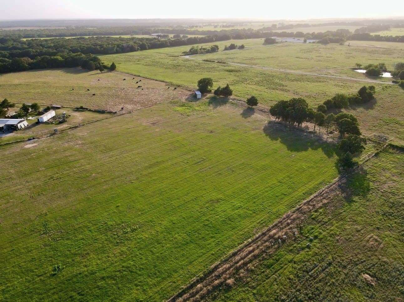 12 acres in Montague County - photo 2