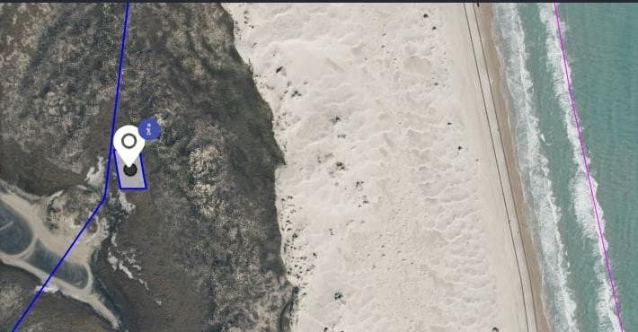 0.35 acres in Cameron County gallery image 4
