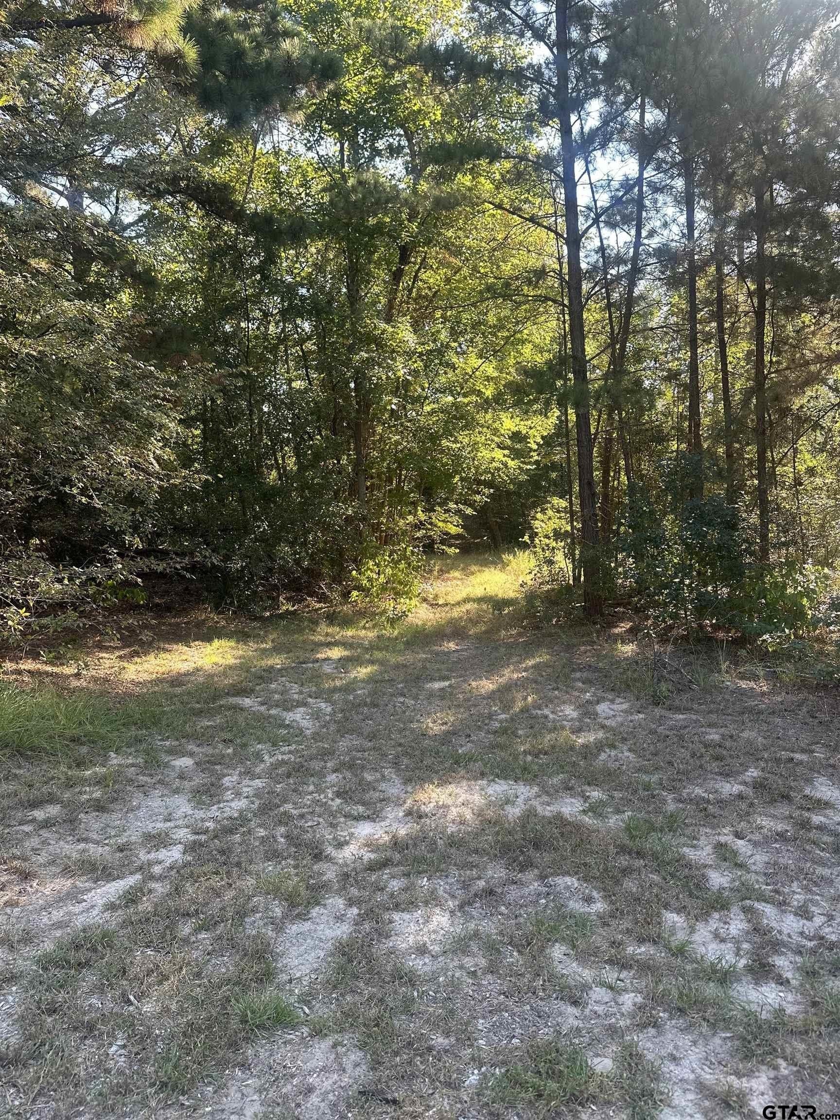 15 acres in Smith County - photo 20