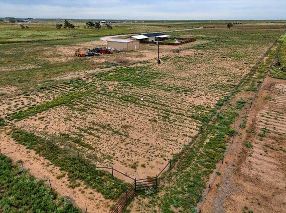 11 acres in Hockley County - photo 44
