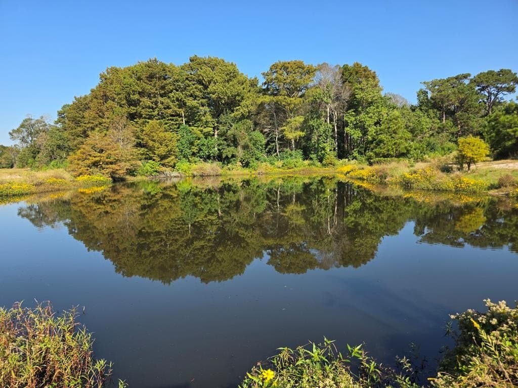 118.6 acres in Texas County gallery image 4