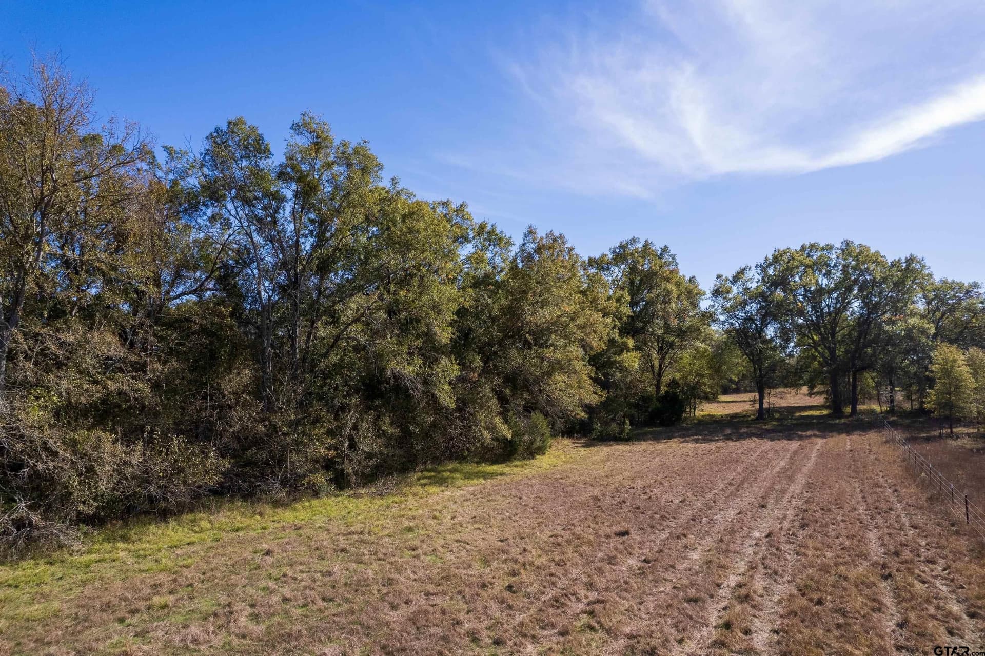 38.79 acres in Titus County - photo 7