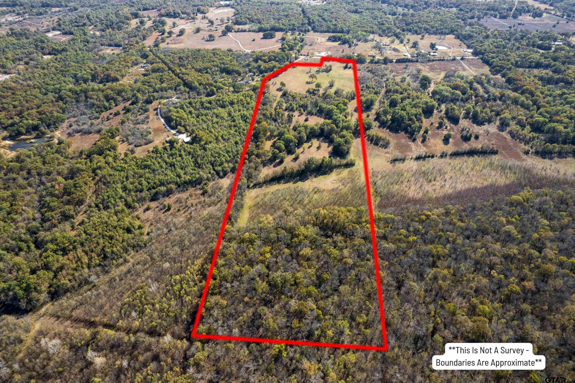 38.79 acres in Titus County - photo 6