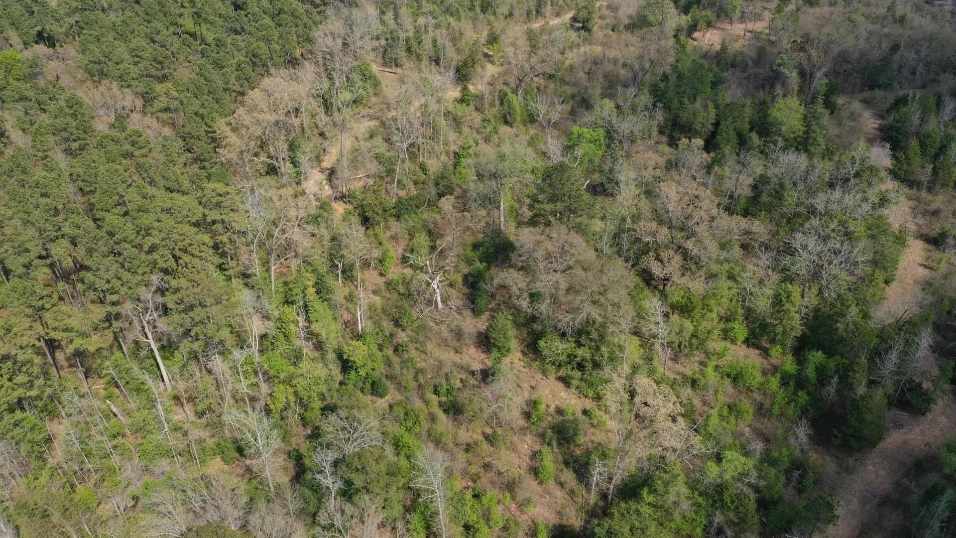 17.5 acres in Cass County featured view